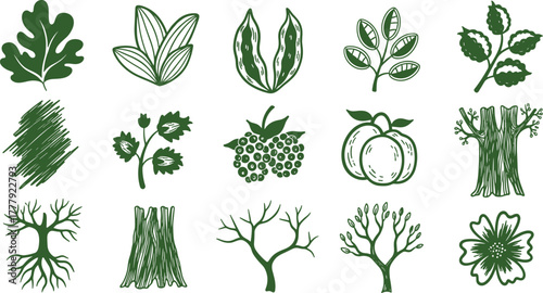 Collection of green hand-drawn botanical illustrations on white background on transparent background