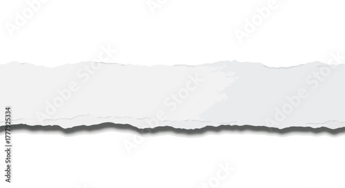 Vector illustration of torn paper edge