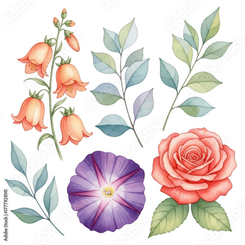 Wallpaper Mural Beautiful watercolor floral elements featuring roses bellflowers morning glory and green leaves isolated isolated on transparent background Torontodigital.ca