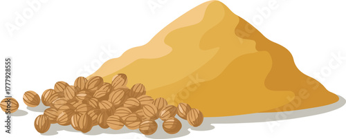Coriander seeds and a pile of ground powder spice for cooking and seasoning isolated vector illustration