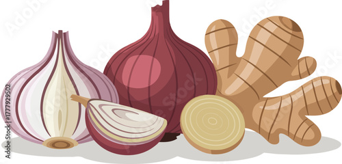 Fresh onion garlic and ginger root spices for cooking and seasoning isolated vector illustration