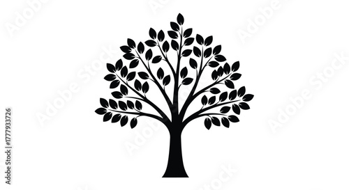 Vector illustration of silhouette of a deciduous tree with many leaves