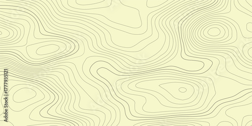 Abstract white topography vector background, Topographic map lines background. Abstract vector illustration.