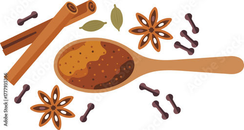 Top view of aromatic indian spices with cinnamon star anise and cloves on a wooden spoon vector illustration