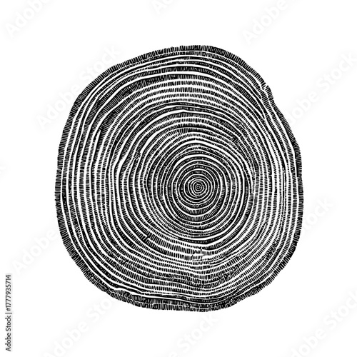 Tree ring growth pattern illustration black and white wood texture nature forest trunk section 100 year old