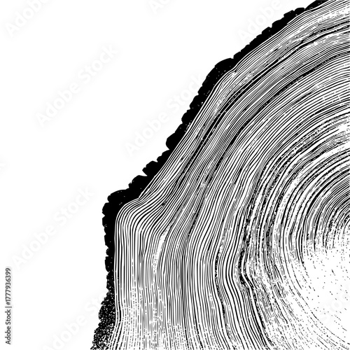 Black and white tree rings texture wood pattern growth annual rings nature design background illustration
