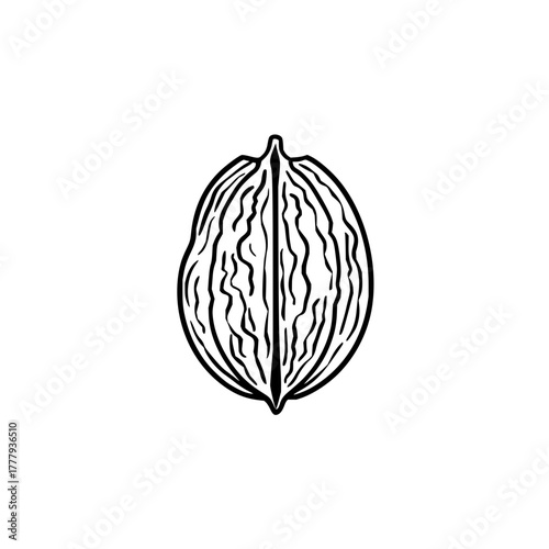 Walnut illustration black and white vector drawing simple line art perfect for food blog or recipe design use