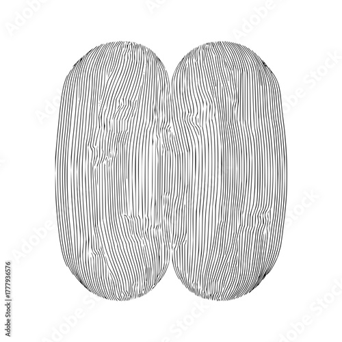 Abstract brain illustration with vertical lines for medical and science educational resources design art 100