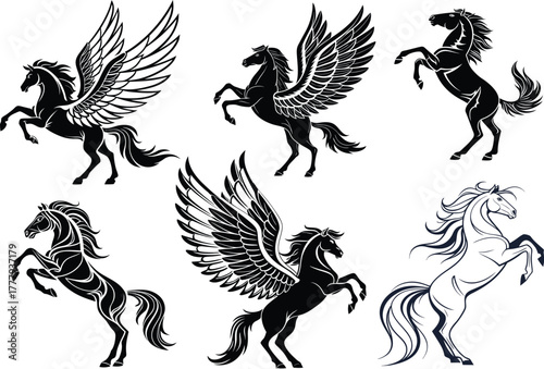 Mythical winged horses and reared stallions silhouette
