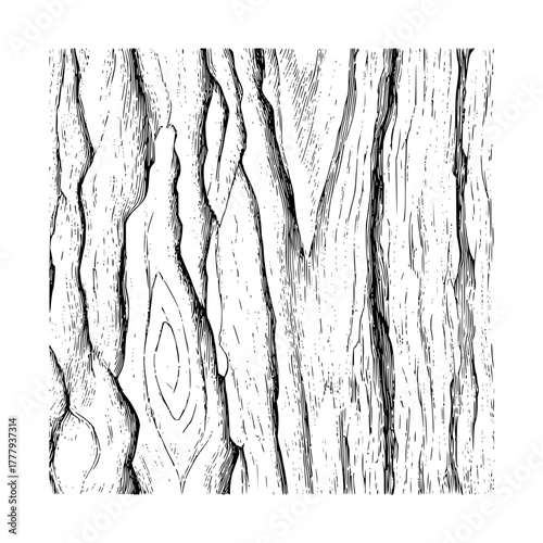 Detailed wood bark texture drawing for graphic design and background use, wood grain illustration element