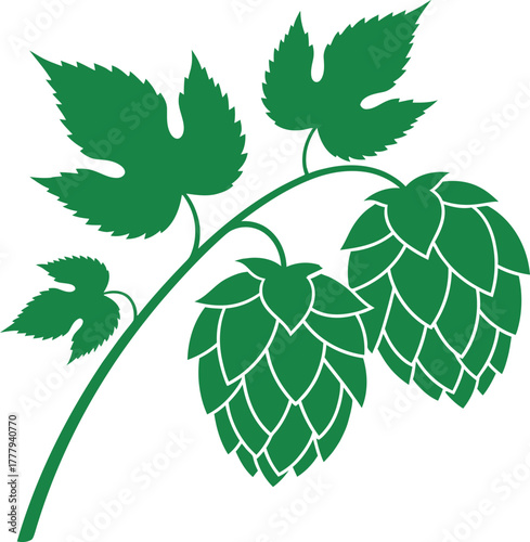 Green hop cones and leaves on a branch