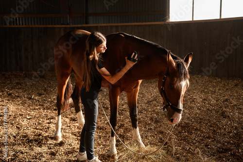 Girl combs and brushes horse's shiny coat with natural bristle brush in stall at stable. Horse grooming concept, horse care, hobby