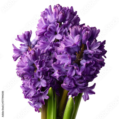 Beautiful Purple Flowers Tied With Burlap Creating a Charming Bouquet for Gif...
