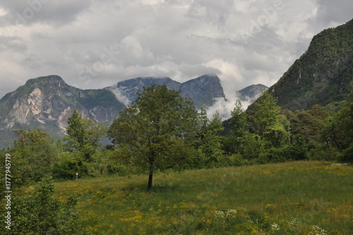 Cloudy mountain landscape with a green meadow and distant peaks in a serene natural setting