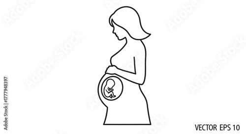 Line art illustration of a pregnant woman with a visible fetus inside her womb.