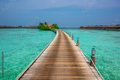 Fototapeta Naklejka Na Ścianę i Meble -  Tranquil closeup calm sea water waves with palm trees. Beautiful Panorama, Tropical island beach landscape exotic shore coast. Summer vacation, holiday amazing nature. Relax paradise, Maldives.