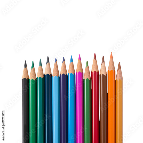 Colorful Pencils Arranged Neatly for Artistic Projects and Creative Activities