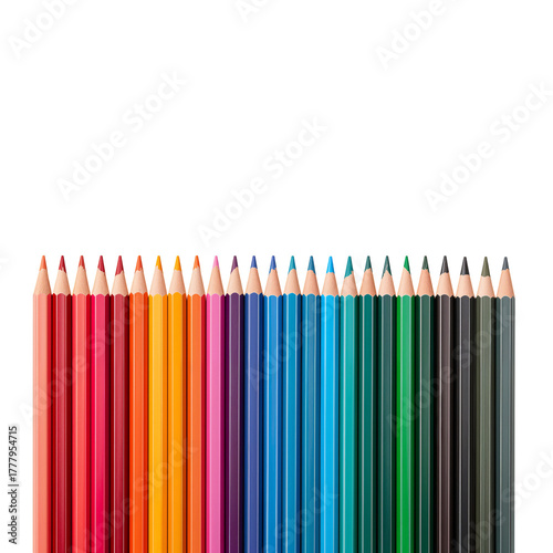 Colorful Pencils Arranged Neatly for Artistic Projects and Creative Activities