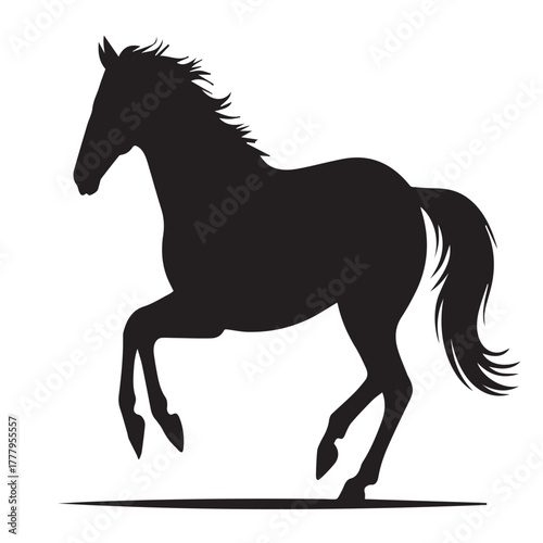Silhouette of a horse isolated on white background, standing on two legs