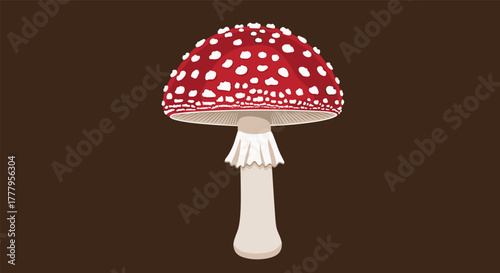 Red mushroom with white spots isolated on brown