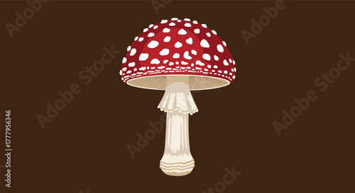 Amanita mushroom on brown background with detailed design