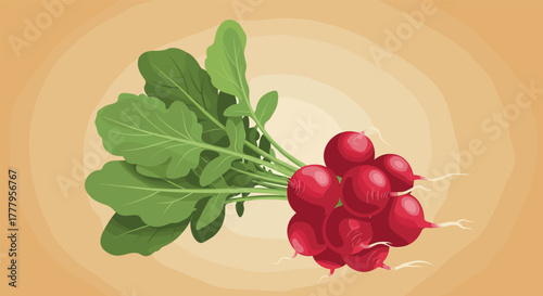 Fresh radishes with lush leaves on warm background in vector art