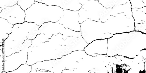 Abstract black and white cracked surface texture, featuring intricate fracture lines and peeling layers, evoking a sense of erosion, dryness, and artistic imperfection. Ideal for vintage design, 