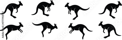 Kangaroo silhouette set, jumping kangaroo poses, animal motion sequence, wildlife vector, Australian marsupial, black kangaroo icons, flat vector illustration