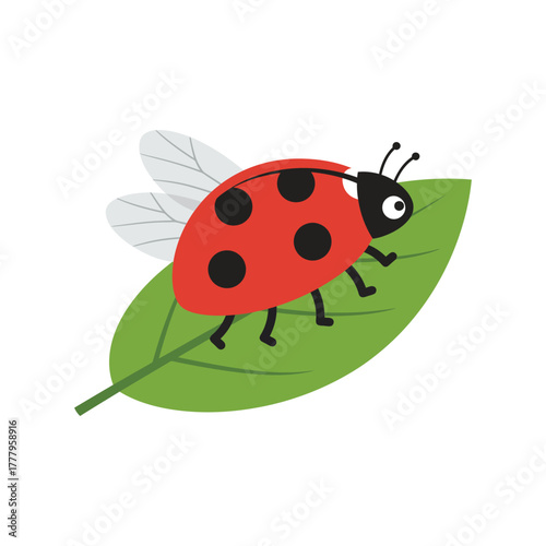 Cartoon Ladybug on Leaf Illustration insect green red black spots wings nature animal cute design isolated vector drawing