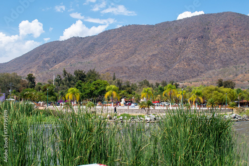 Palm-lined malecon in Jocotepec seen through lake reeds with mountain background on a sunny day