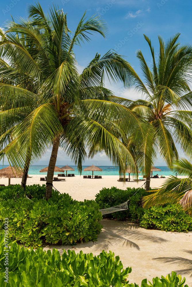 Obraz premium mare maldive