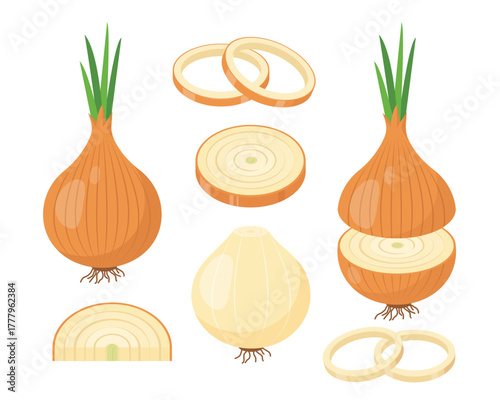 Set of Onion icons. Yellow Onions bulb in peel, halved onion, peeled onion head, slices and rings. Cook ingredients, spices. Organic food. Vector illustration isolated on white background.