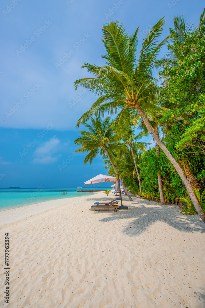 Obraz premium Tranquil closeup calm sea water waves with palm trees. Beautiful Panorama, Tropical island beach landscape exotic shore coast. Summer vacation, holiday amazing nature. Relax paradise, Maldives.