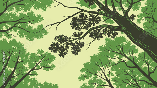 Looking up at a canopy of trees with green leaves and branches against a light colored sky background view