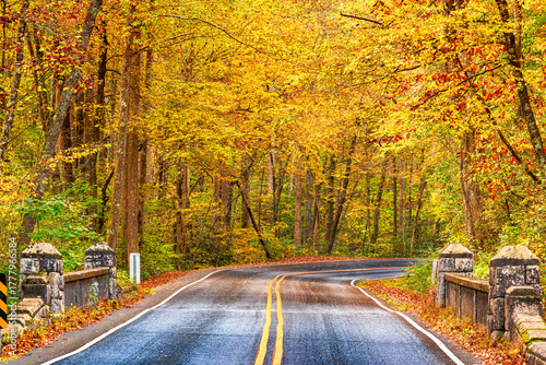 Photos Autumn roads in Pisgah National Forest, North Carolina 835
