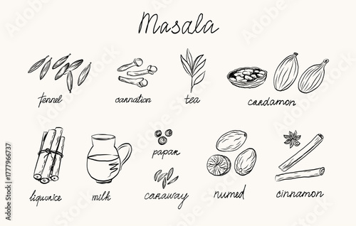 Masala chai ingredients. Hand drawn vector illustration. Spicy Drink menu. Sketch with milk, tea, fennel, carnation, cardamom, liquorice, caraway, nutmeg, cinnamon, paper. Indian food and drink