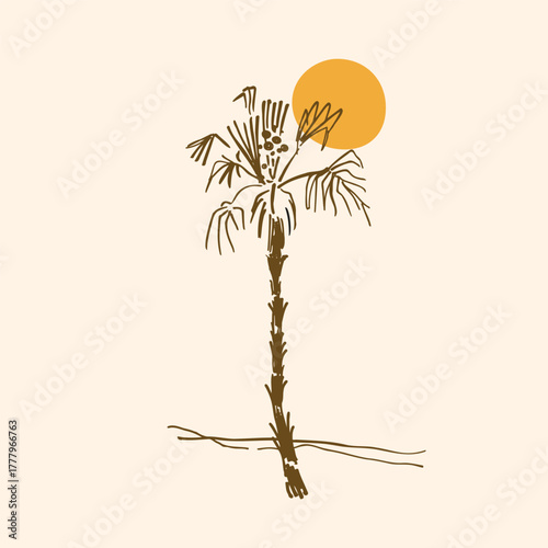 Tropical sign with Palm trees and sun. Marine landscape. Vector boho illustration. Design for logo, card, social media, template. Marine sketch in minimalist style. Abstract art with seacoast
