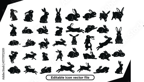 Collection of Black Rabbit Silhouettes in Various Poses Vector Set .
