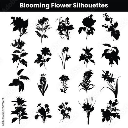 Wildflower Silhouettes Set