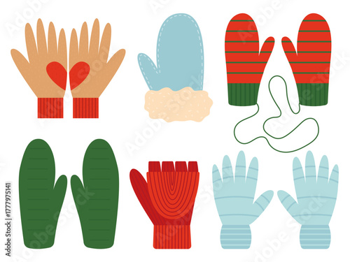 Knitted gloves and mittens set. Flat vector winter gloves and mittens set
