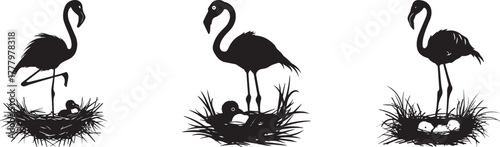 Silhouette of flamingos standing in nests with eggs — elegant tropical bird scene symbolizing nature, wildlife care, motherhood, peace and balance — black flamingo art on white background