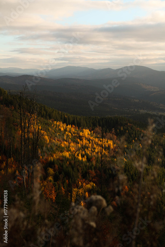 The mountain landscape view in autumn, vertical image