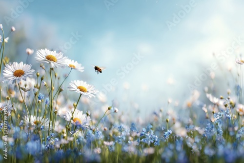 Vibrant Wildflower Meadow Buzzing With Bees in Clear Blue Sky