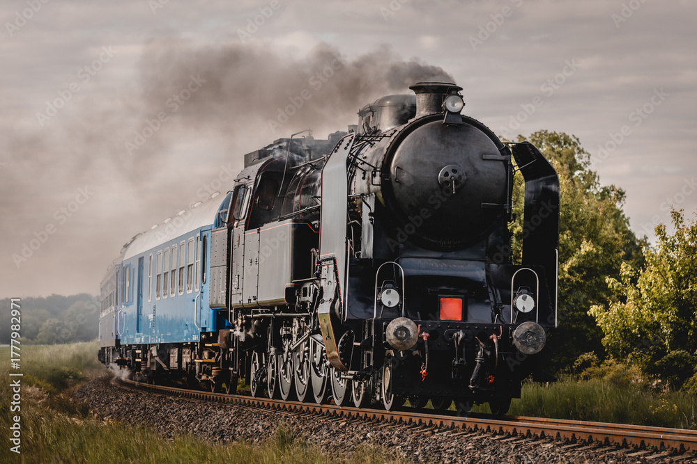 Naklejka premium Classic steam locomotive moving. History and power on the rails.