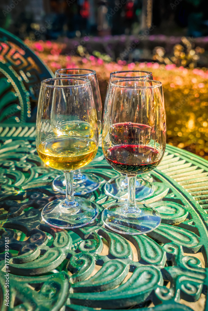 Fototapeta premium port wine testing, glasses with drink, white and red