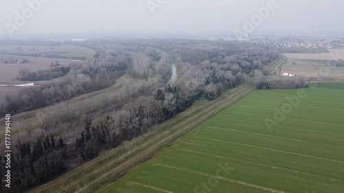 cereal crop field in the first growth phase, drone view