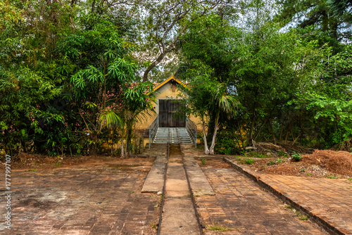 Old coffee farm tracks once carried dried beans from drying yards to storage barns, linking farm areas and speeding transport during Brazil’s early coffee production era. 