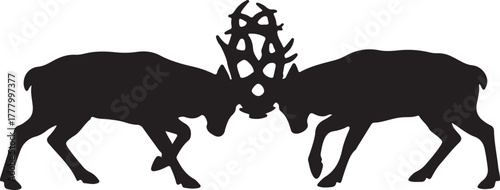 Two majestic deer stags in intense rutting battle, antlers locked in a powerful silhouette vector graphic illustration.