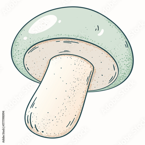 Green mushroom illustration with detailed texture and shape  