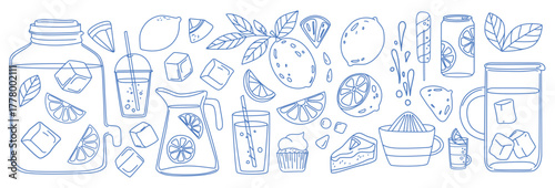 Lemonade and Citrus Drinks Doodle Set